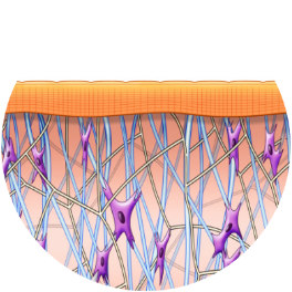 after_exilis