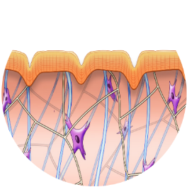 before_exilis
